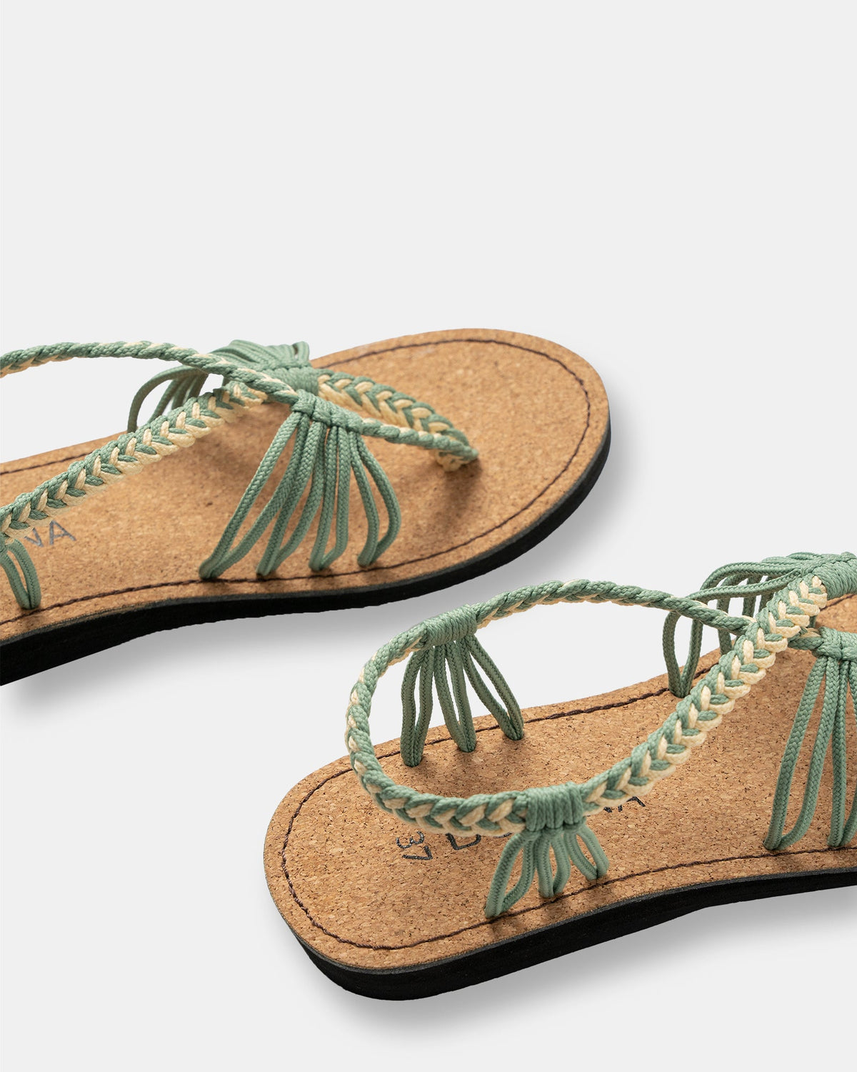 SEASTAR (ピスタチオ)