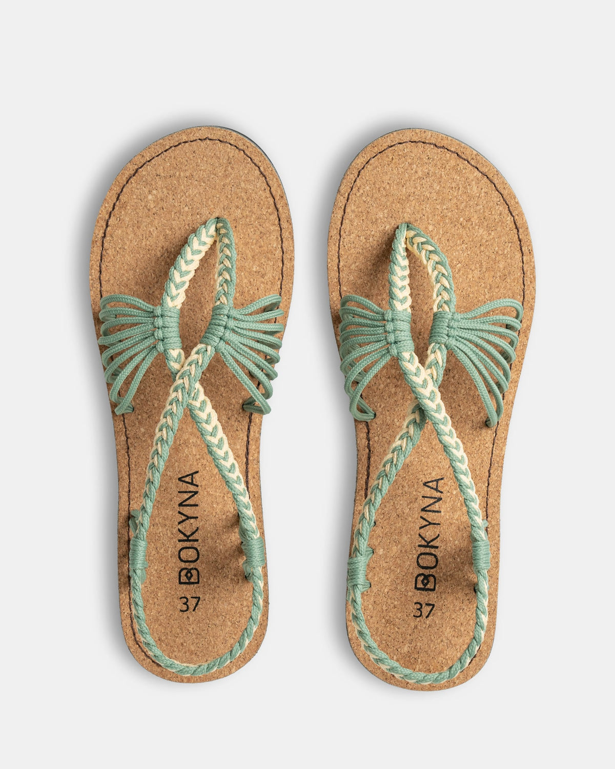 SEASTAR (ピスタチオ)