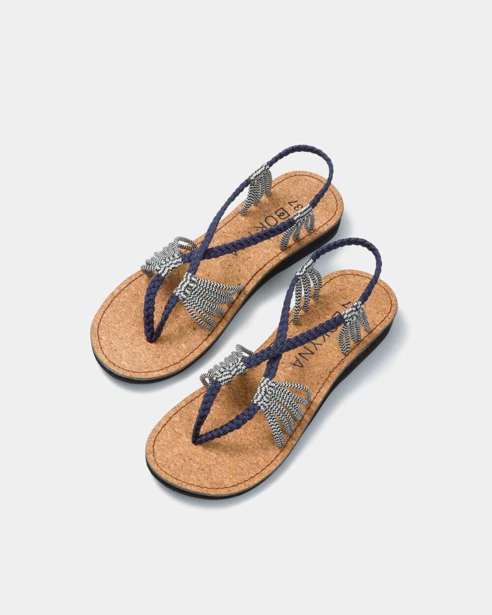 SEASTAR (チャコールゼブラ)