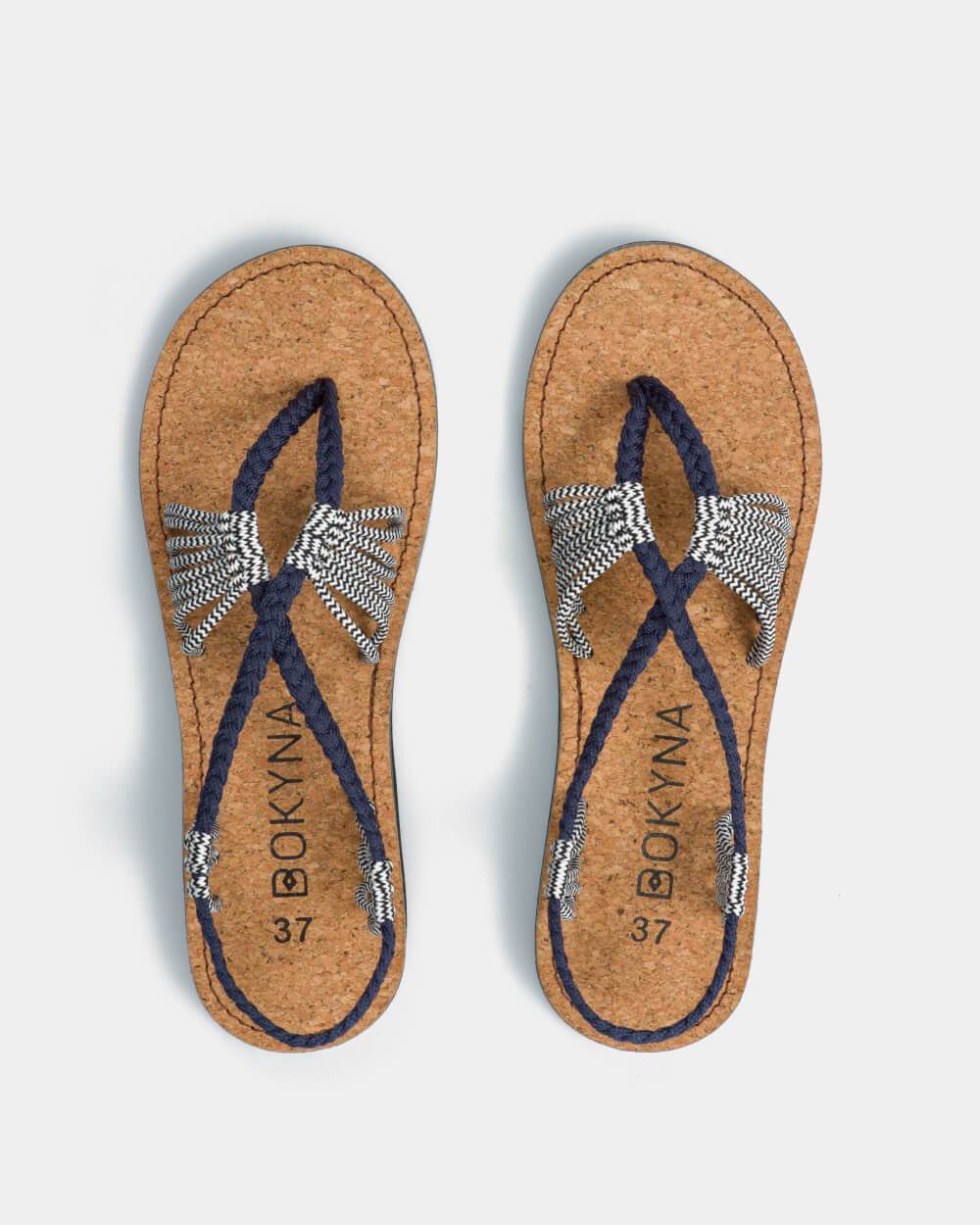 SEASTAR (チャコールゼブラ)