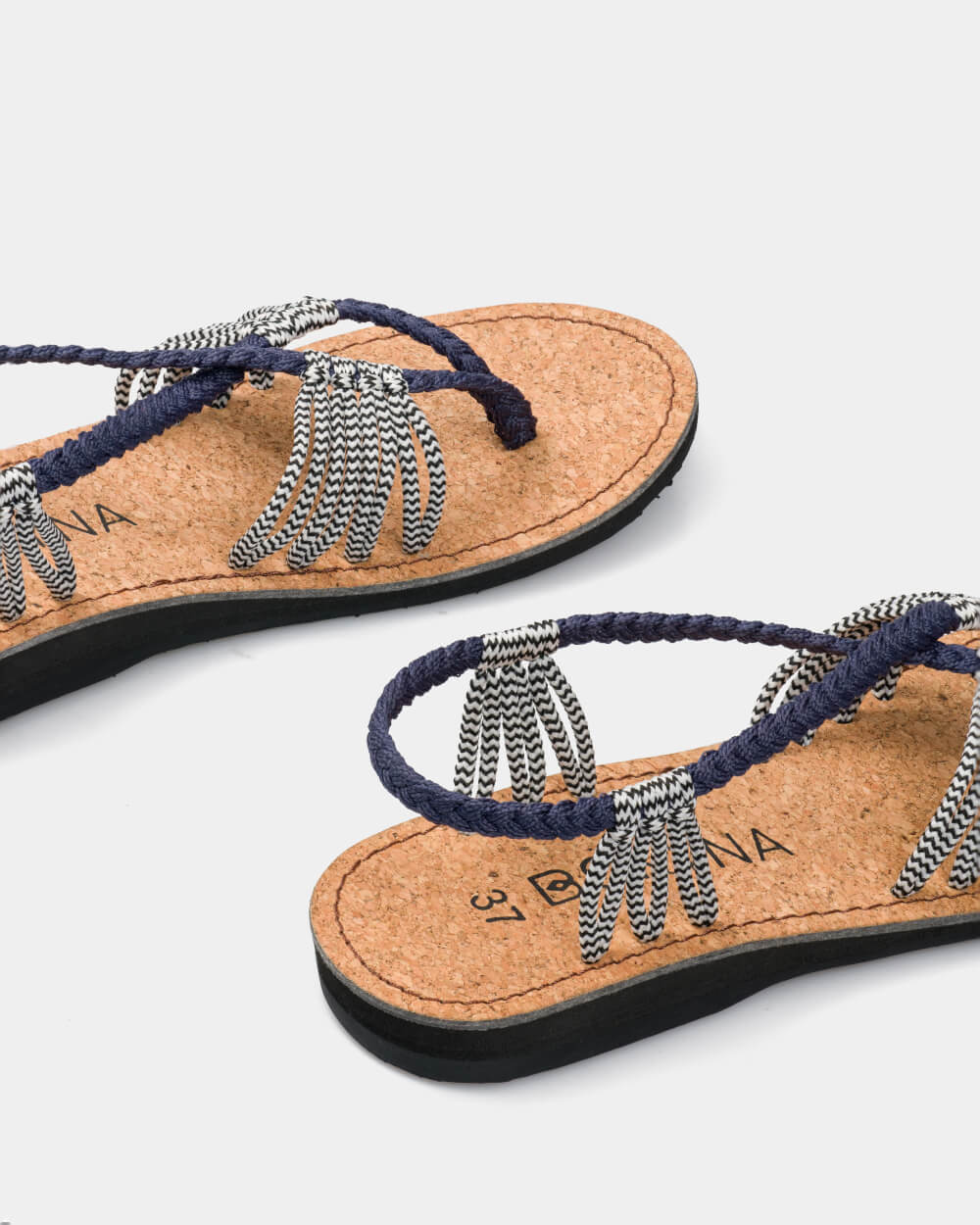 SEASTAR (チャコールゼブラ)