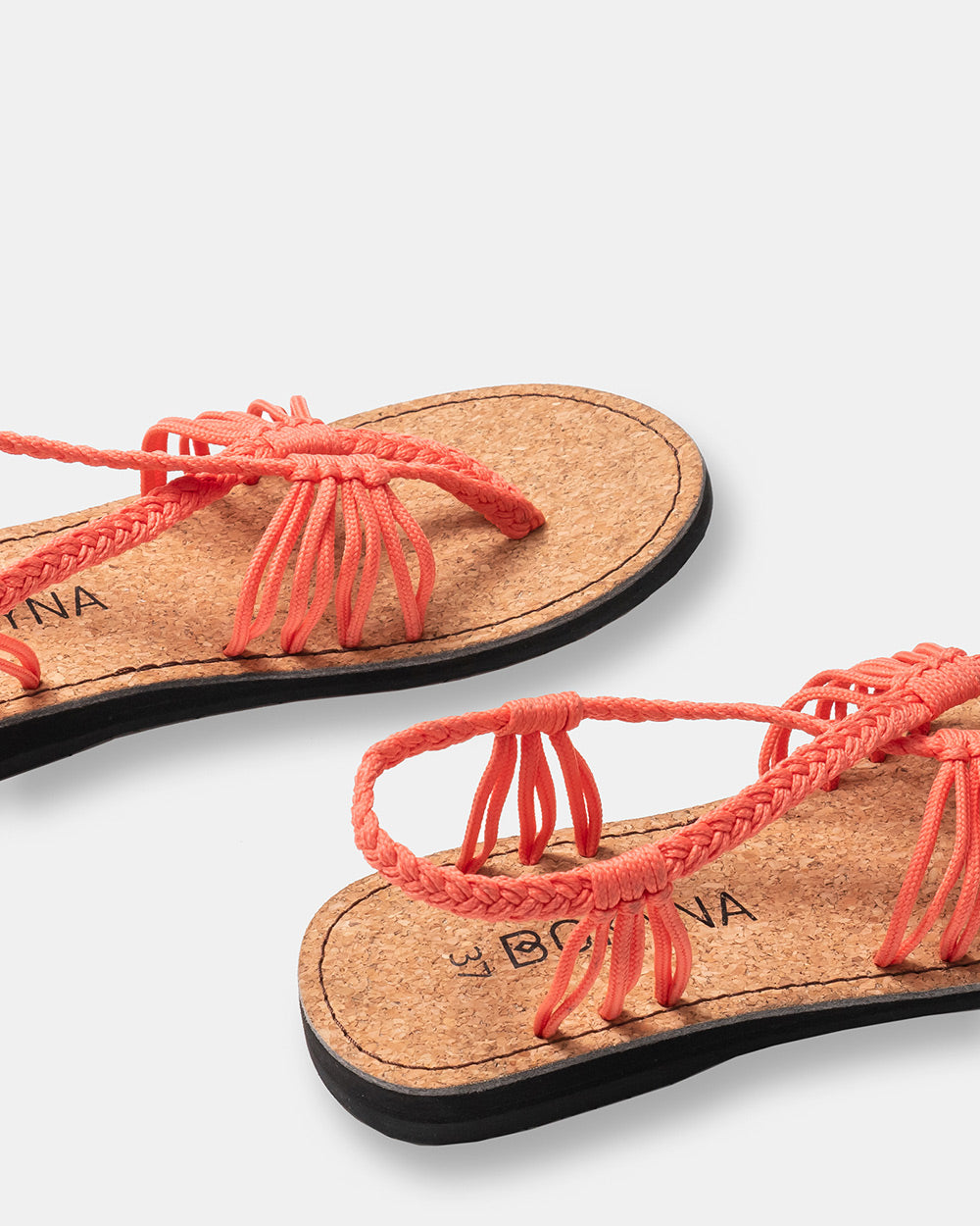 SEASTAR (サーモン)