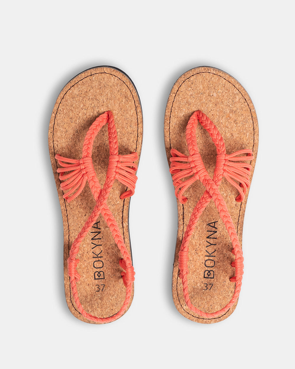 SEASTAR (サーモン)